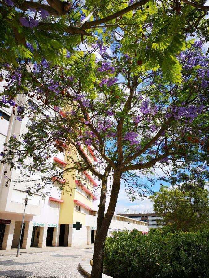 Appartement Jardim Dos Jacarandas