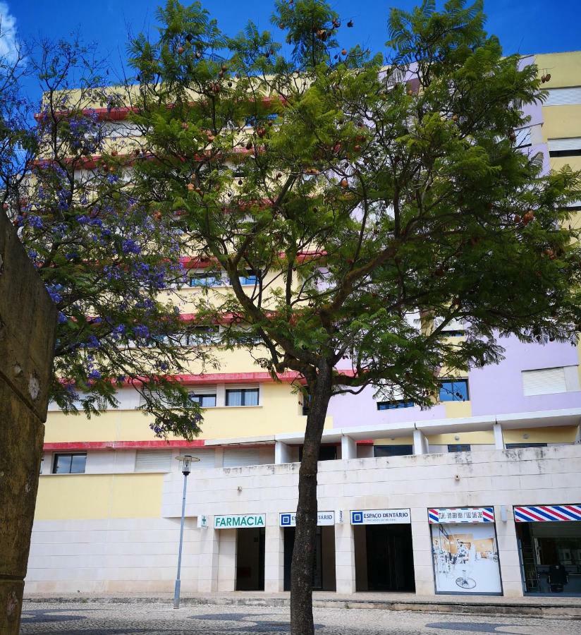 Jardim Dos Jacarandas * Lissabon